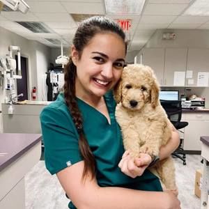 Meet your Posher, Erica